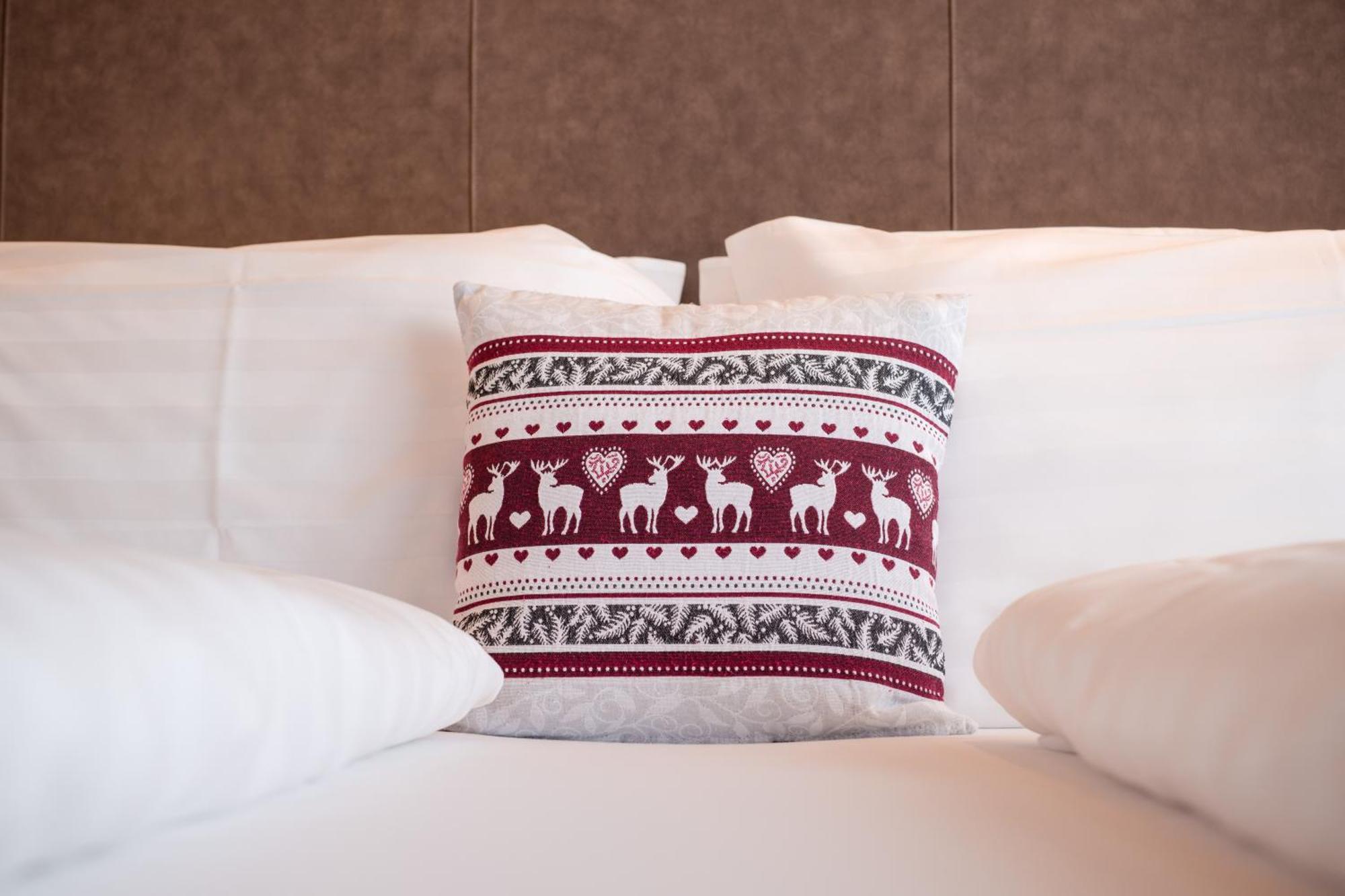 Superior Double or Twin Room Mountain View
