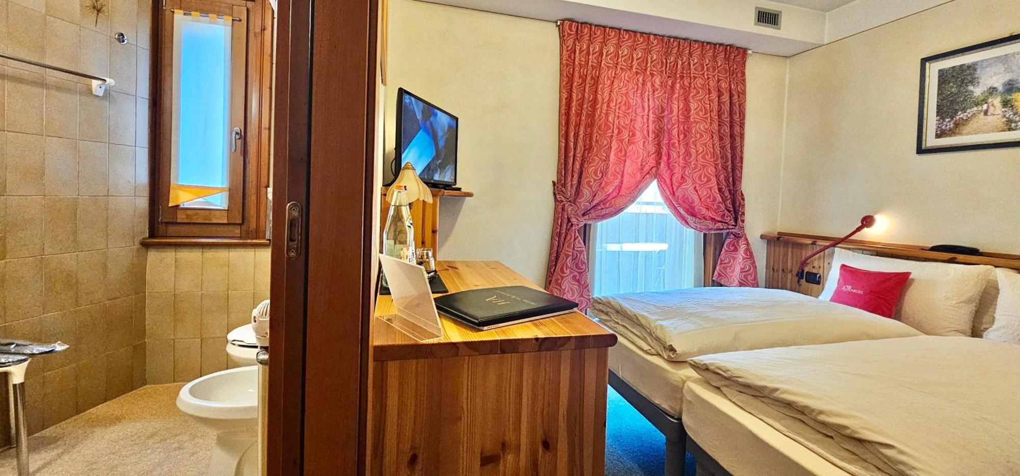 Double or Twin Room