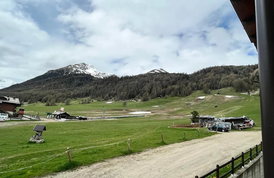 Fior D'Alpe Apartment-1