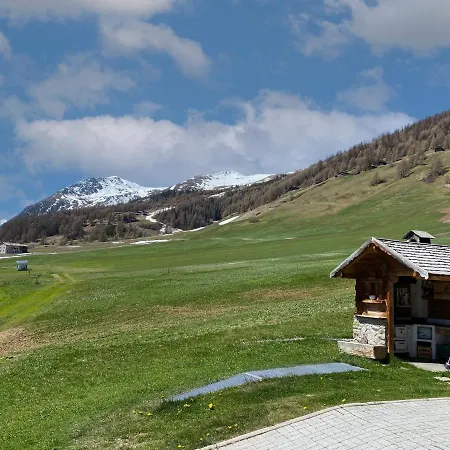 Mountain Chalet Milly-3